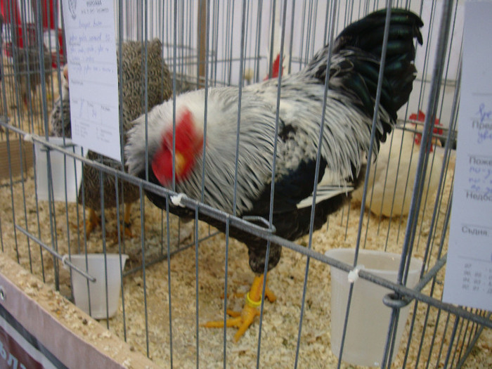 DSC00215