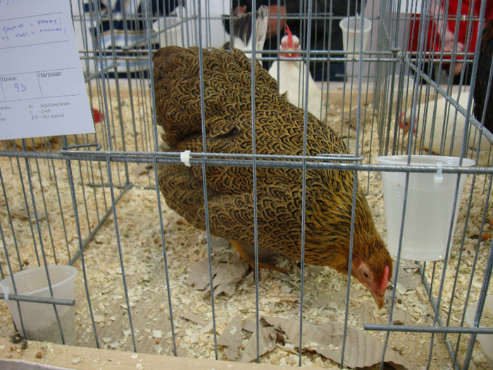 DSC00216
