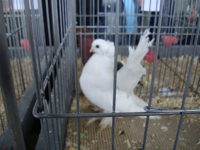 DSC00168