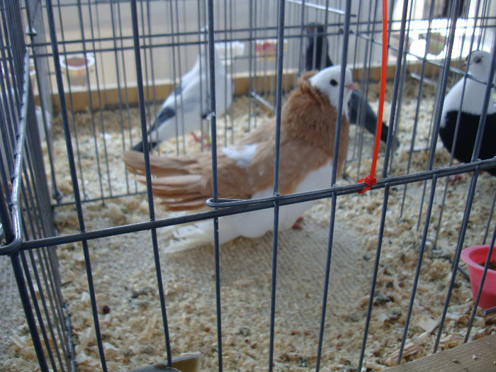 DSC00169