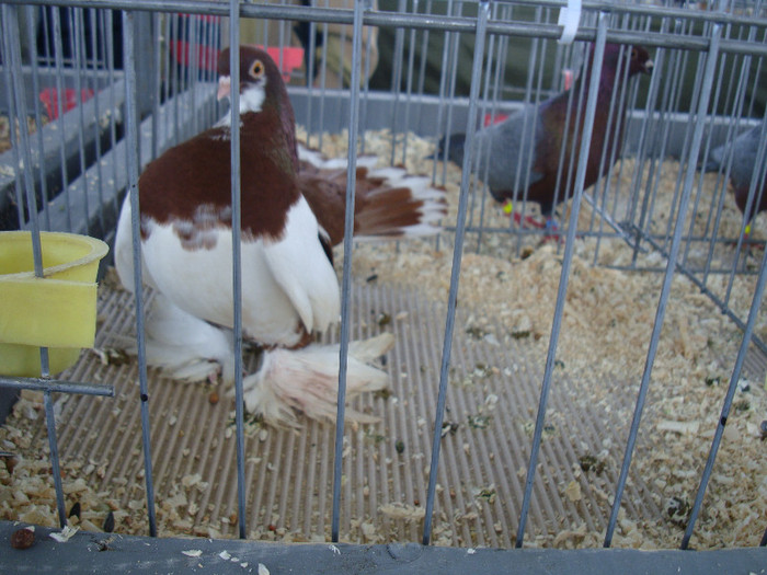 DSC00171