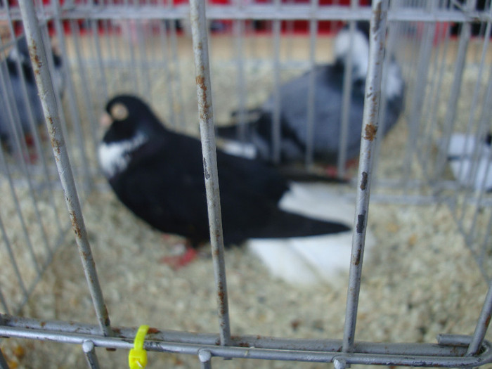 DSC00225