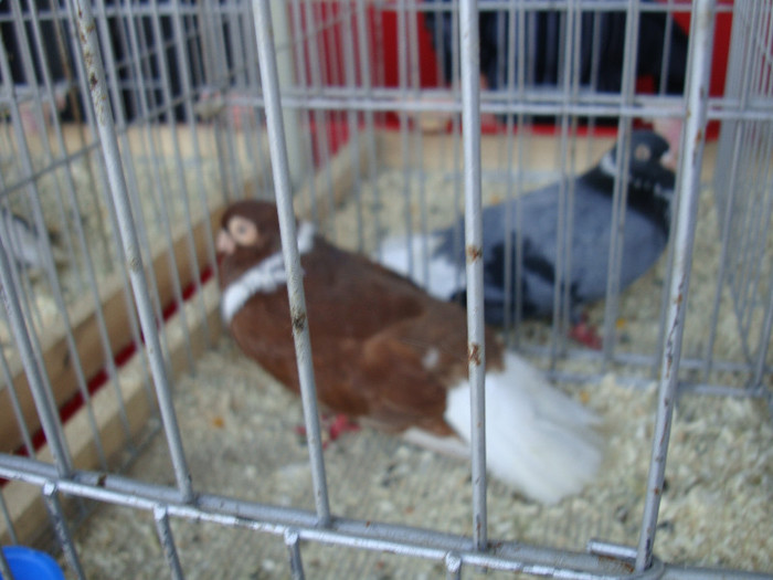 DSC00226