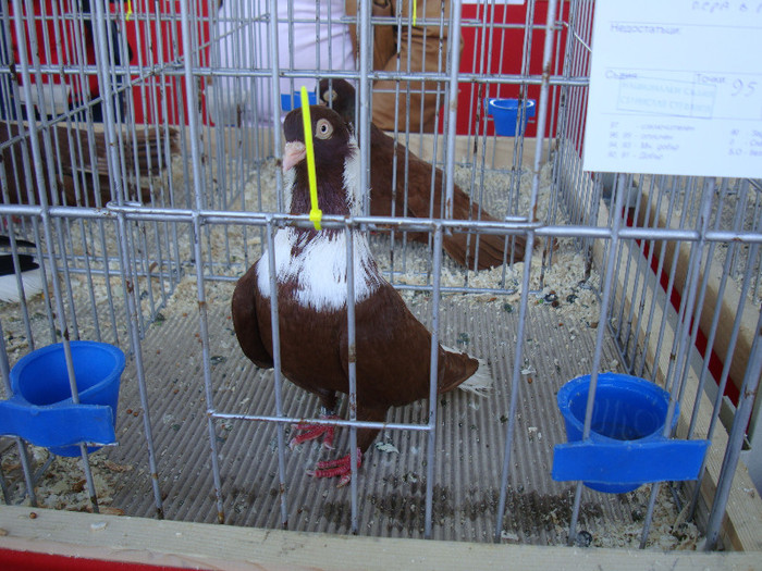 DSC00237