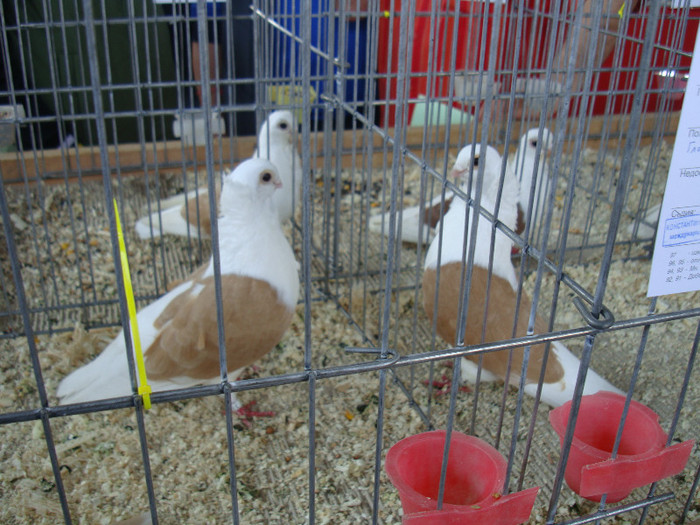 DSC00241
