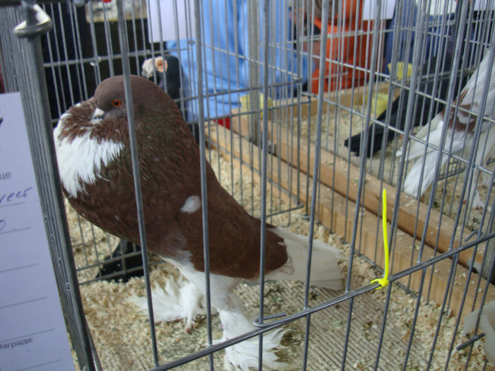 DSC00251