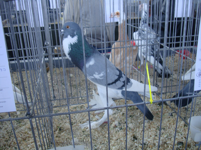 DSC00257