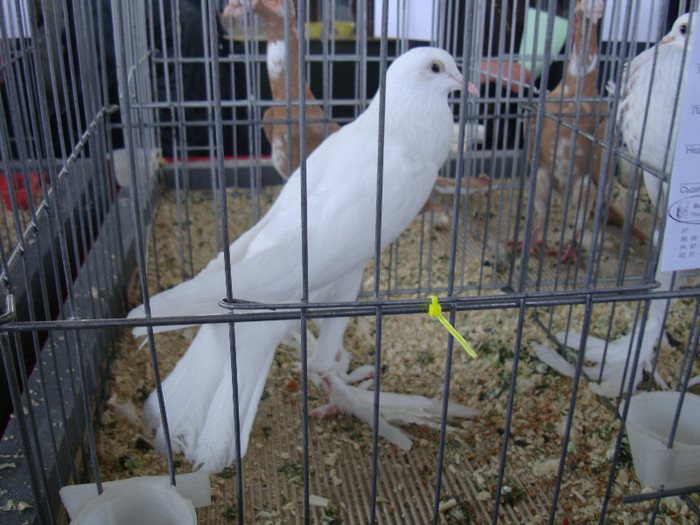 DSC00258