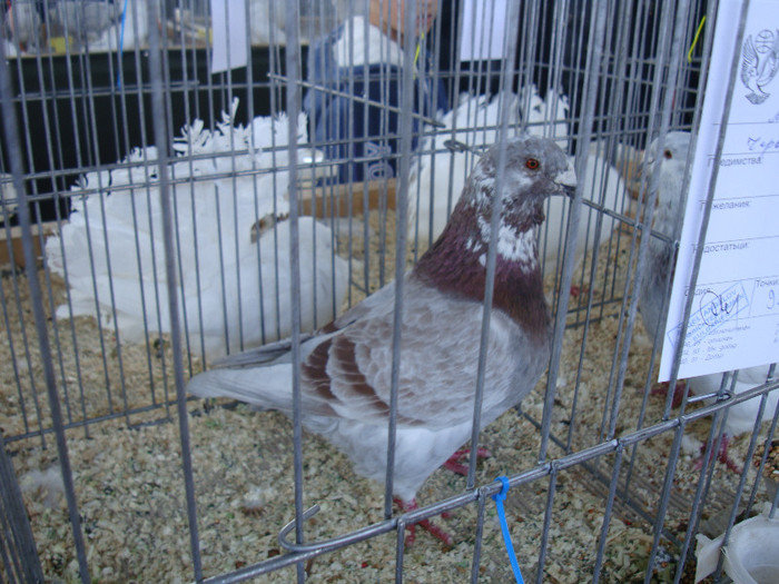 DSC00260