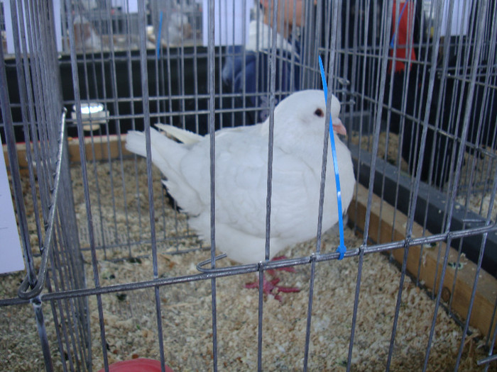 DSC00262