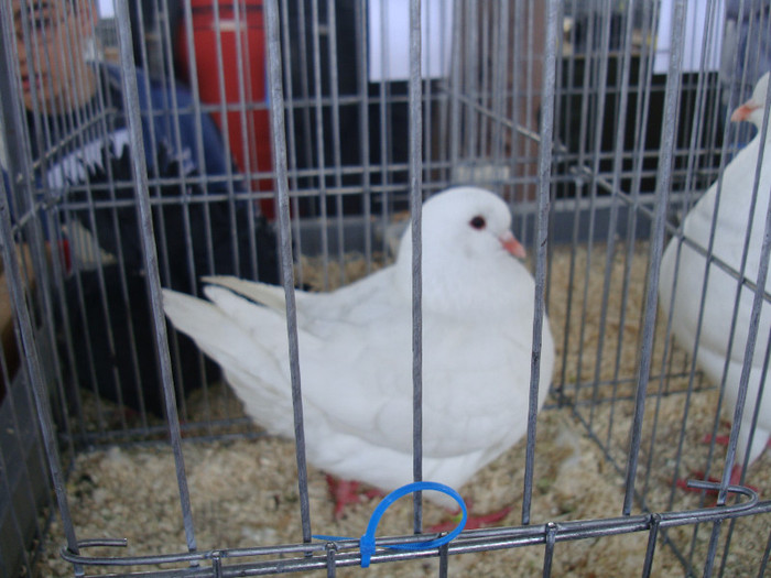 DSC00263