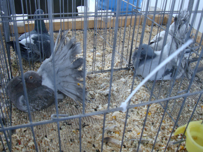 DSC00265