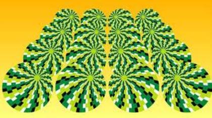 images (6)