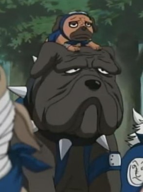 Bull-and-Pakkun-naruto-shippuuden-19172543-294-396