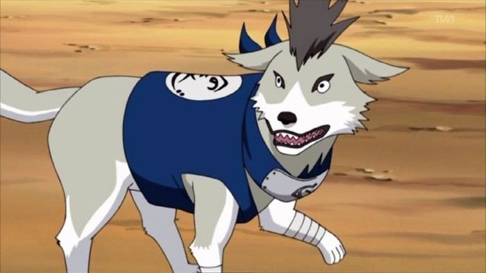 Shiba-naruto-shippuuden-19172656-706-397