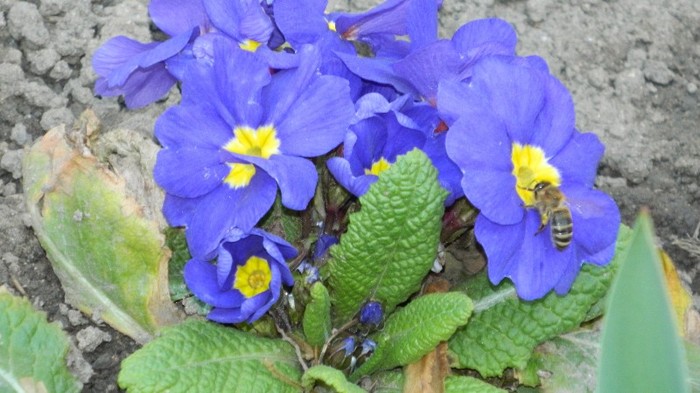 DSCN0238