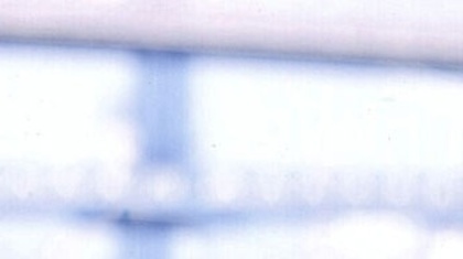 preity-zinta-2011-wallpapers-in-ipl-4_006 preity-zinta-2011-wallpapers-in-ipl-4_006