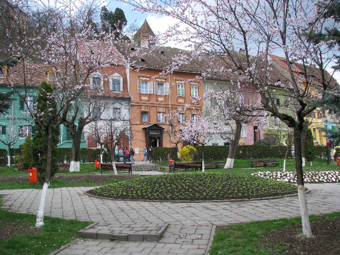Sighisoara