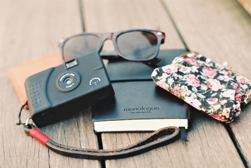 tumblr_lrycae6BSw1qdxh0vo1_500_large