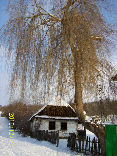 FOSTA CASA MEMORIALA SI MUZEU ,GH. CERNEA din PALOS...