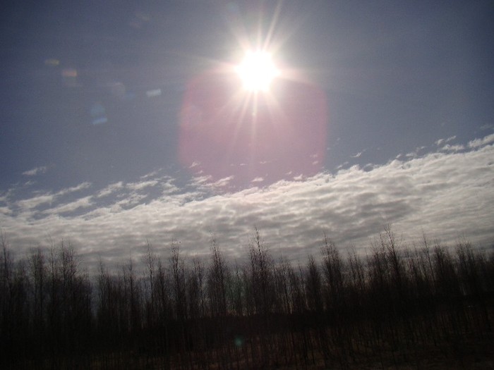 DSC06058 - Suedia martie aprilie 2012