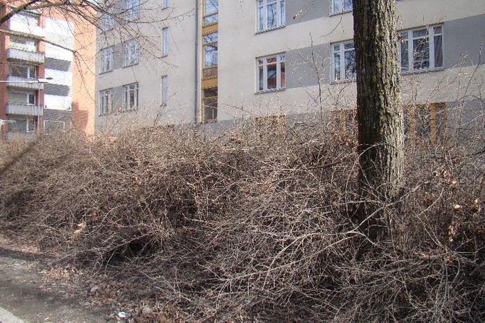 DSC06065 - Suedia martie aprilie 2012