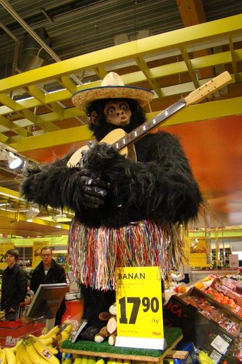 DSC06197 - Suedia martie aprilie 2012