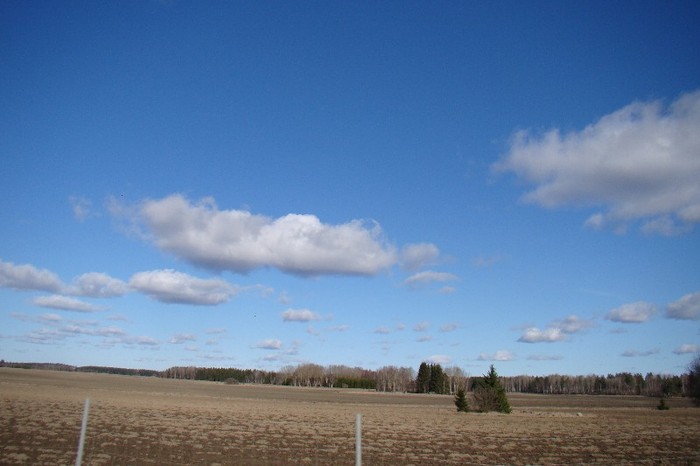 DSC06199 - Suedia martie aprilie 2012