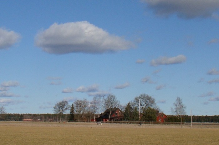 DSC06205 - Suedia martie aprilie 2012