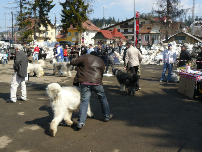 P1120155