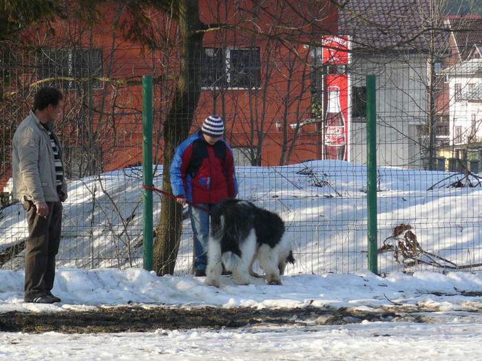 P1110954