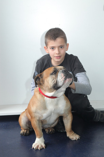 Buldog Englez; Tita la expo
