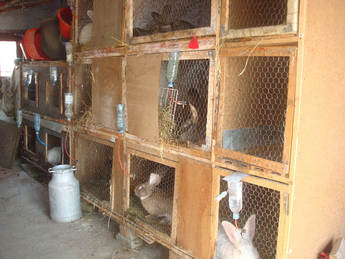 DSC03340