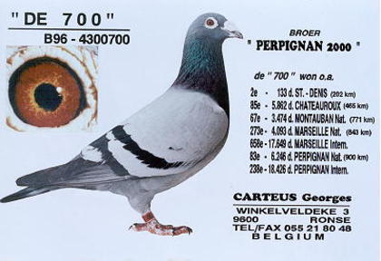 Carteus-De-700 - Georges Carteus