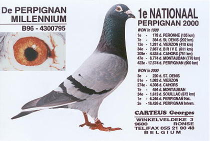 Carteus-1st-National-Perpignan