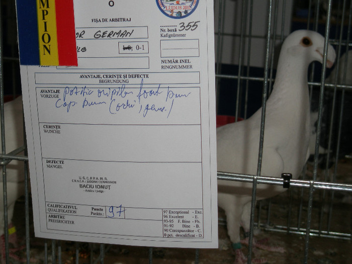 expo.  97 PCT.exceptional