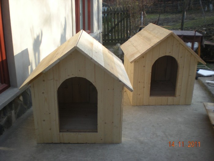 DSCN3725 - 6 Cusca Tommy