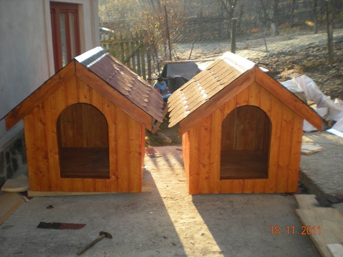 site1 - 6 Cusca Tommy