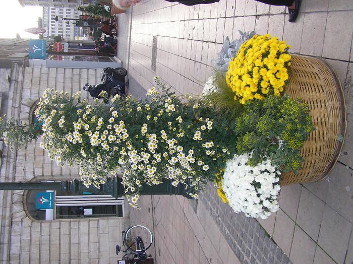 SANY0670; orleans- franta
