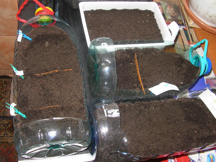 SANY0012; sera mea de incepator ....
