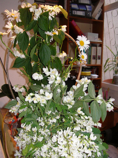 SANY0160 - flori