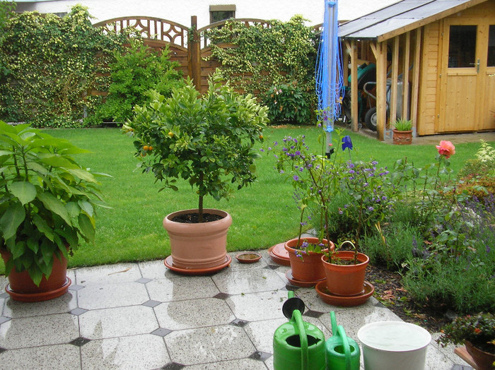 SANY0127; o curte mititica in ..Germania
