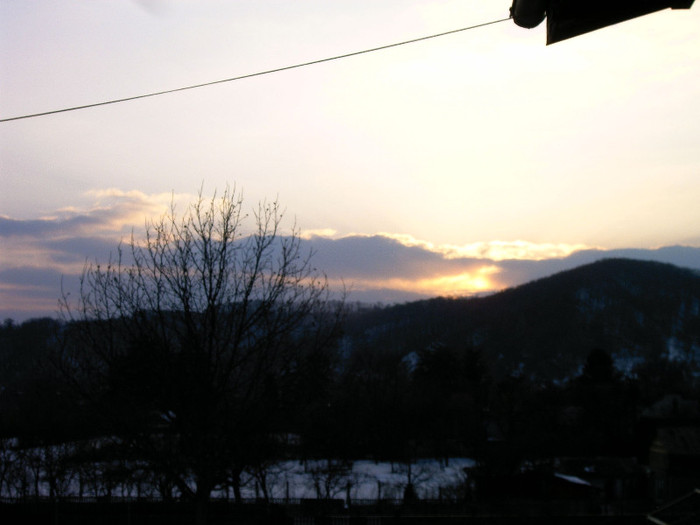 IMAG0029