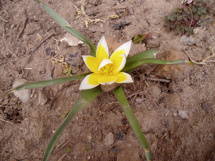 care se pregatesc de atac:)))