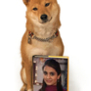 mini_annaeesha_dog_and_book_1delreslw mini_annaeesha_dog_and_book_1delreslw