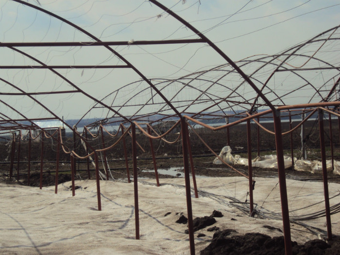 pagube - solarii 2012