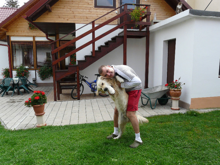 P1280342 - Toti cainii curtii care au fost si inca mai sunt