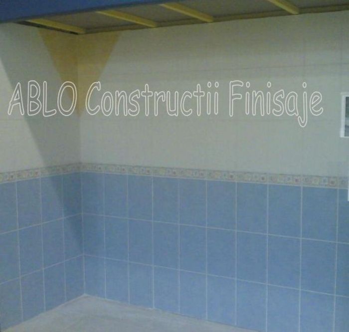 Faianta_alba_si_bleu_chituita
