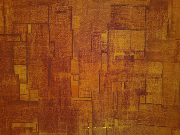 Zugraveala decorativa 1