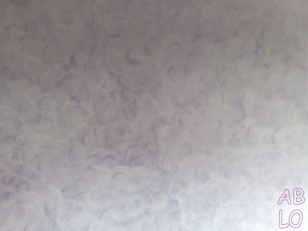 Zugraveala decorativa 3